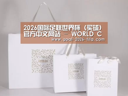 项目名称十一