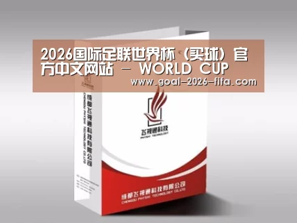 项目名称十三