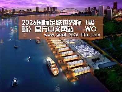 案例展示八